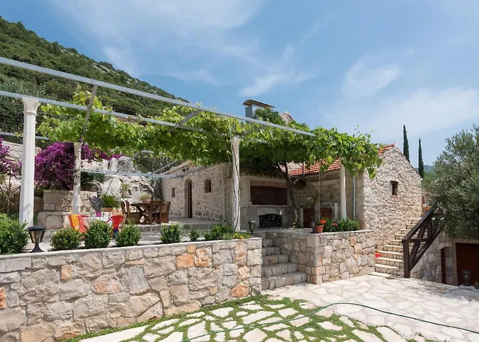 The Hidden Treasure Village - Entire